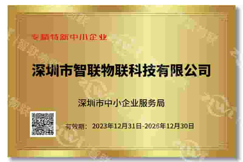 BG大游集团专精特新证书